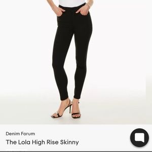 Denim Forum High Rise Skinny